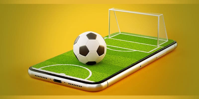 Tại bóng đá XOSO66, các giải đấu 