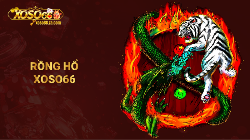 Rồng hổ